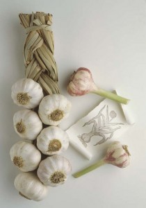 Garlic oil for natural health