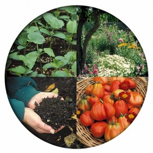four organic gardening images in a circle