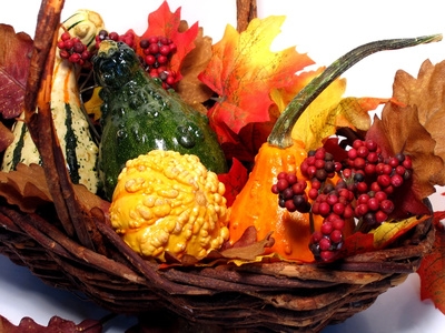 natural thanksgiving basket with squash and cranberries