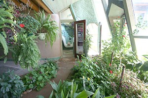 The main windows of an Earthship create a greenhouse