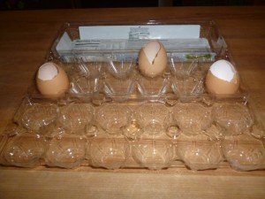 plastic egg carton with egg shell seed pots to make an eco friendly seedling tray