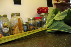 picked rhubarb for rhubarb crumb cake